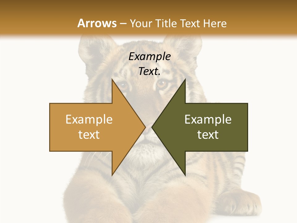 Wildlife Stripes Predator PowerPoint Template