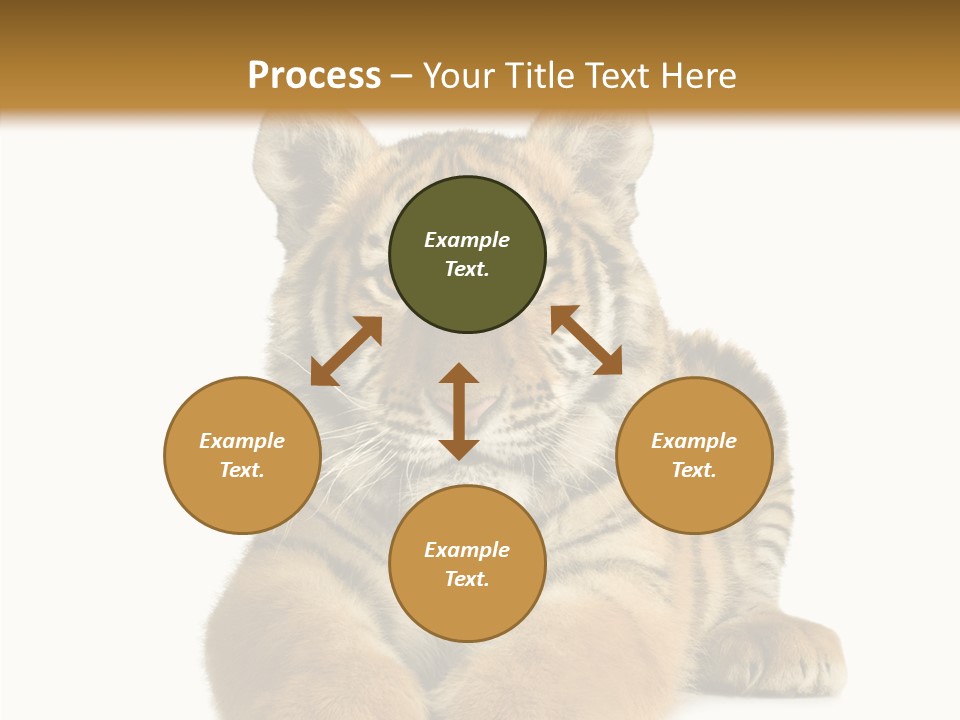 Wildlife Stripes Predator PowerPoint Template