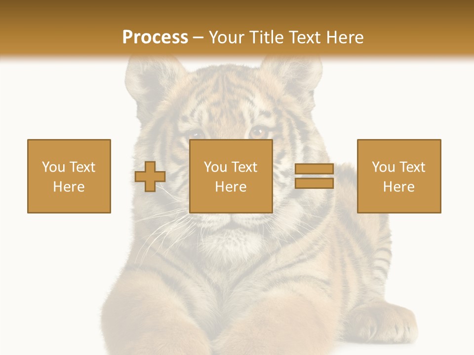 Wildlife Stripes Predator PowerPoint Template