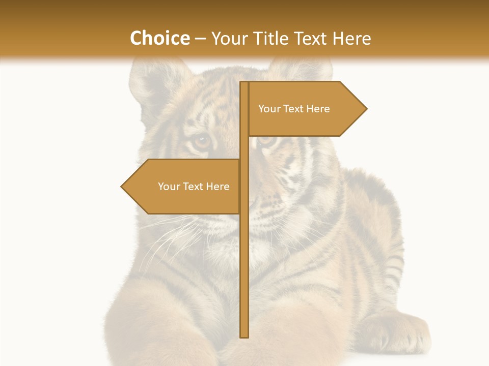 Wildlife Stripes Predator PowerPoint Template