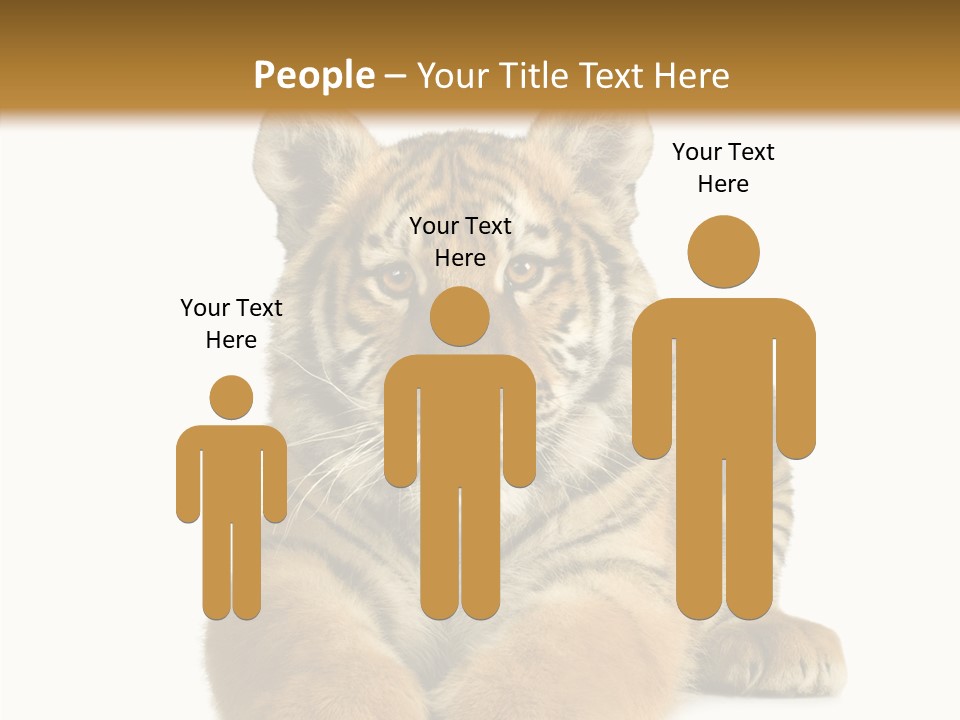 Wildlife Stripes Predator PowerPoint Template