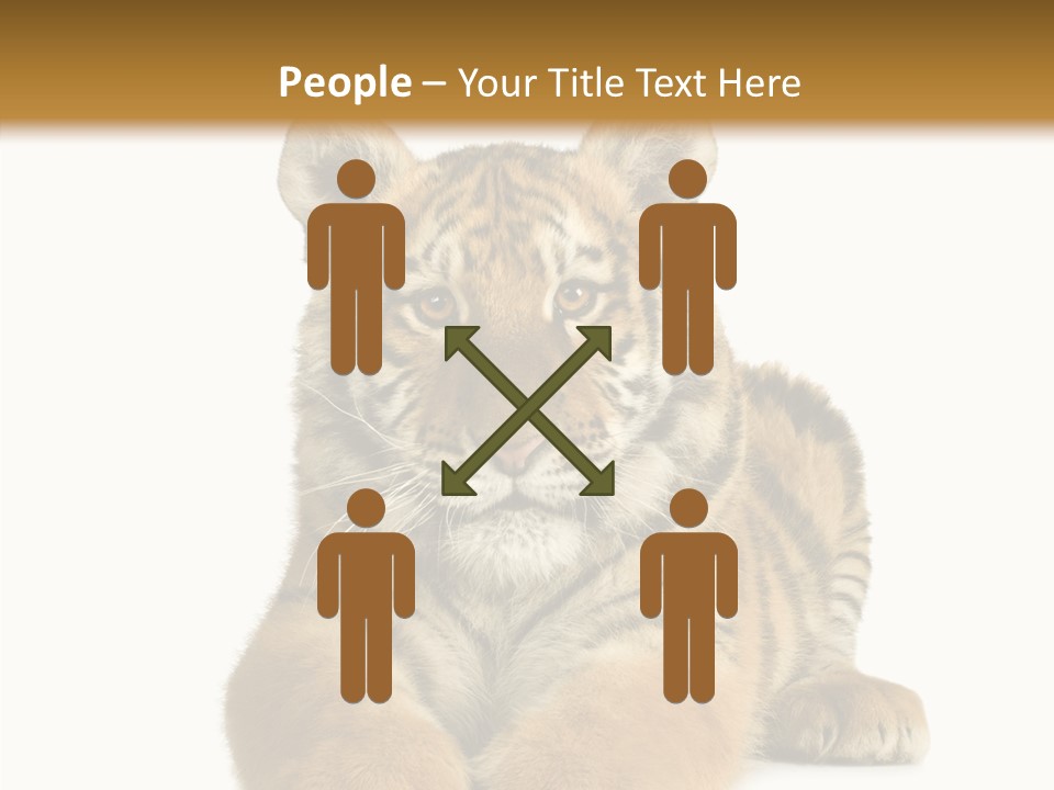 Wildlife Stripes Predator PowerPoint Template