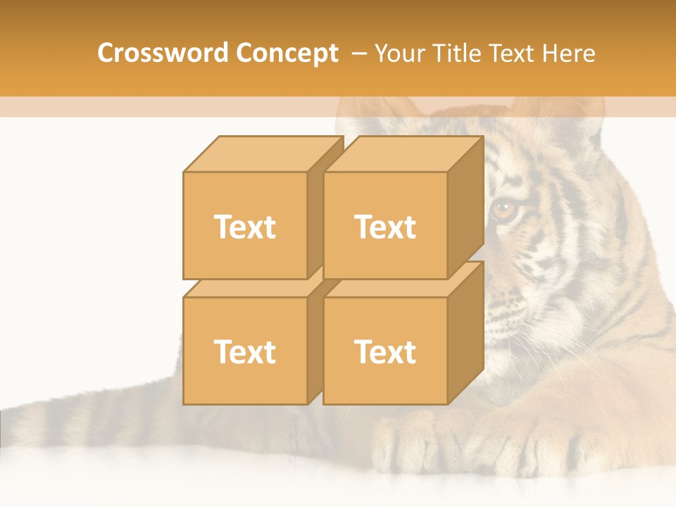 Mammal Tiger Studio PowerPoint Template