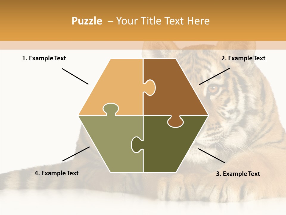 Mammal Tiger Studio PowerPoint Template