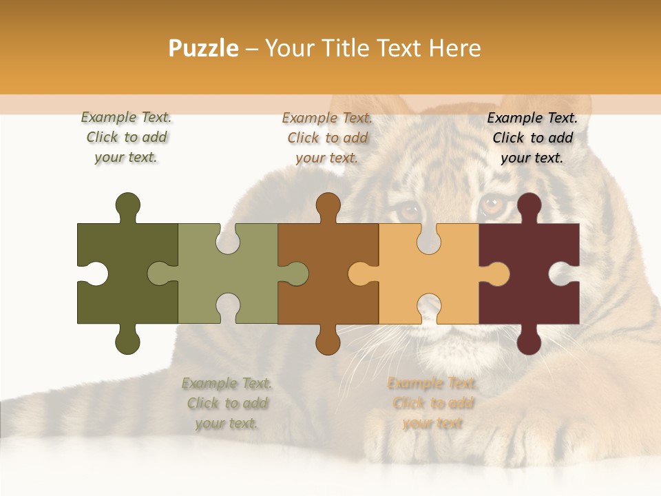Mammal Tiger Studio PowerPoint Template