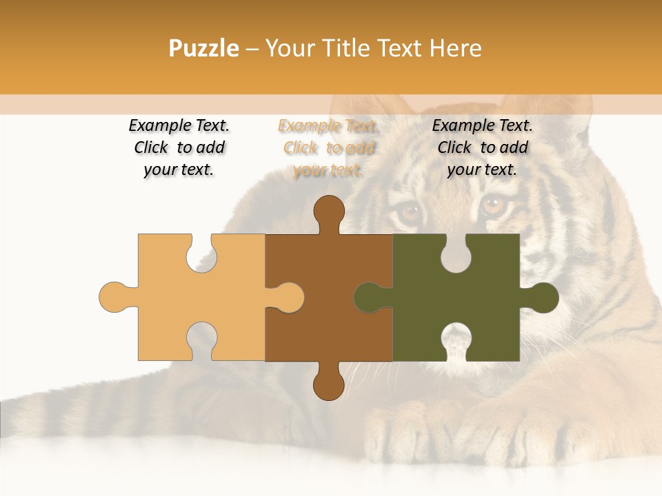 Mammal Tiger Studio PowerPoint Template