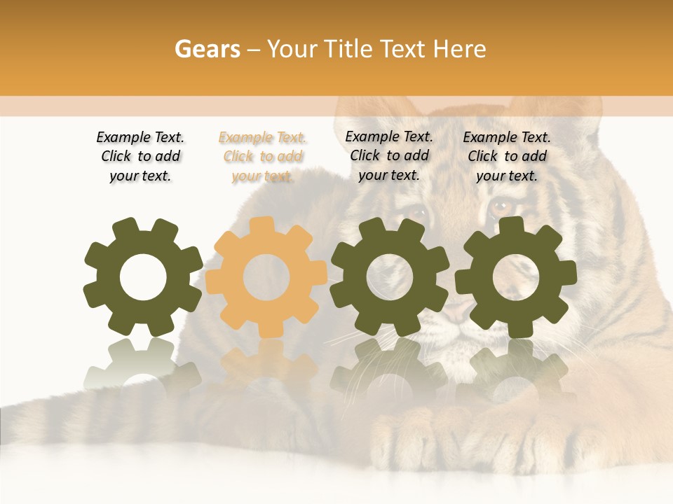 Mammal Tiger Studio PowerPoint Template