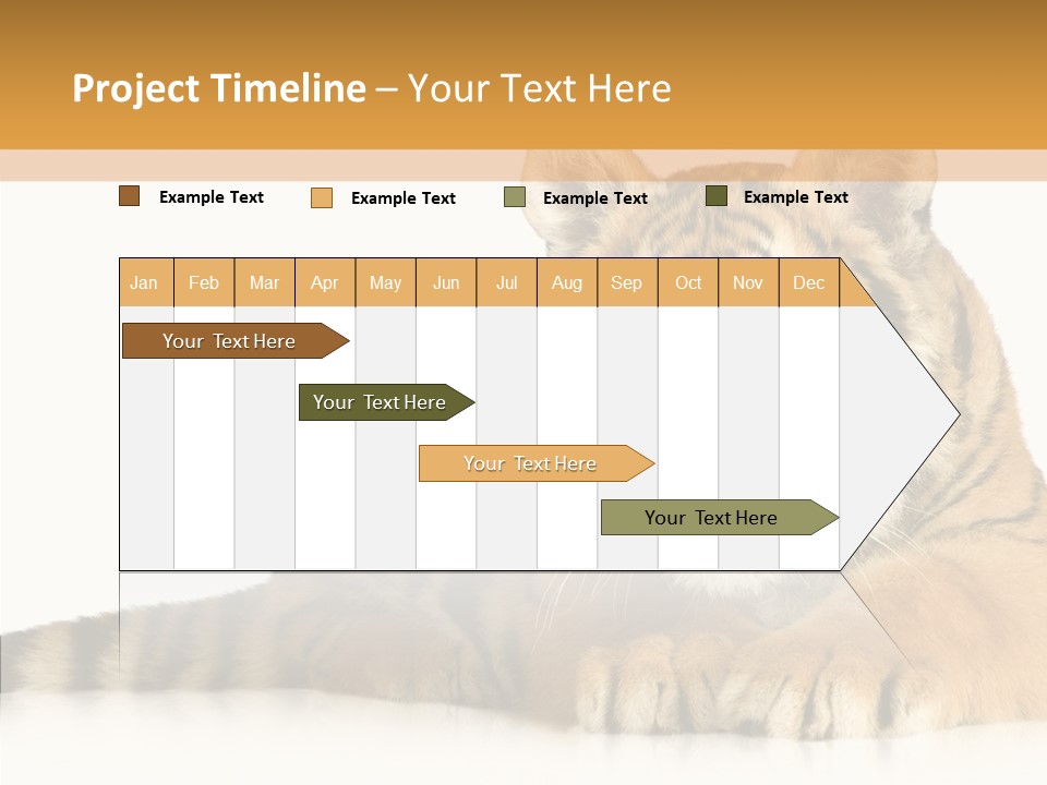 Mammal Tiger Studio PowerPoint Template