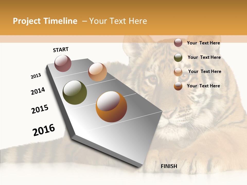 Mammal Tiger Studio PowerPoint Template