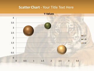 Mammal Tiger Studio PowerPoint Template