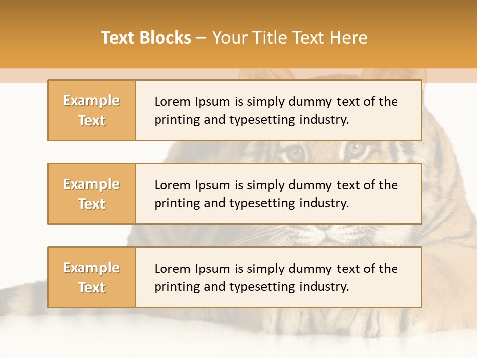 Mammal Tiger Studio PowerPoint Template