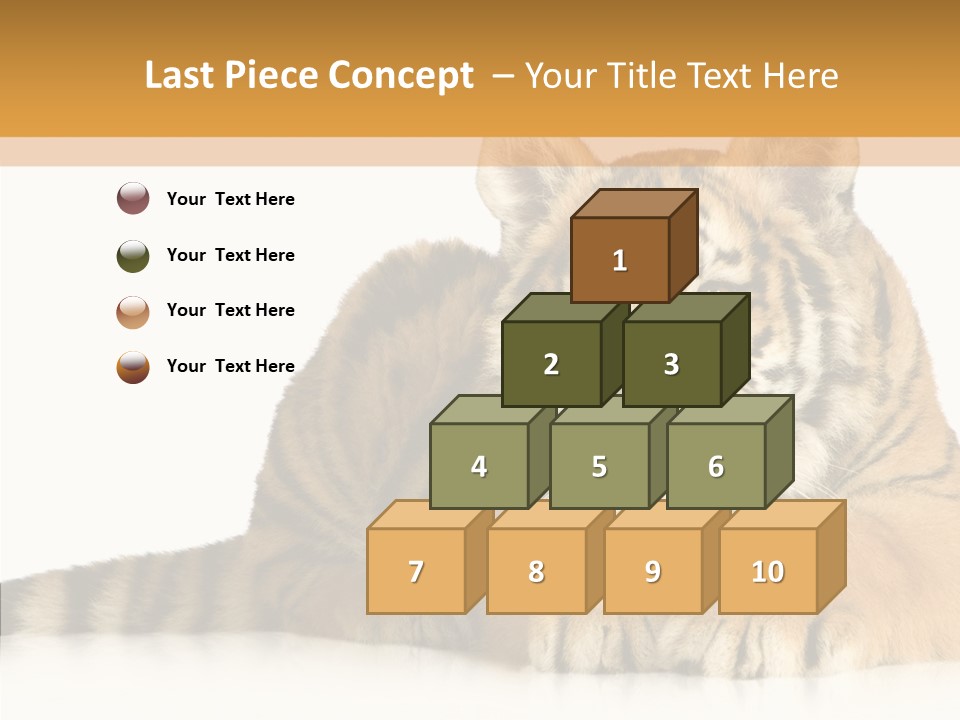 Mammal Tiger Studio PowerPoint Template