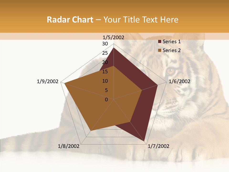 Mammal Tiger Studio PowerPoint Template
