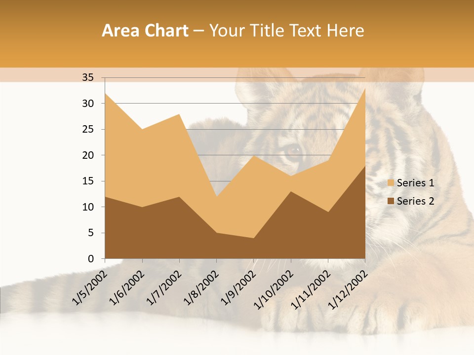 Mammal Tiger Studio PowerPoint Template