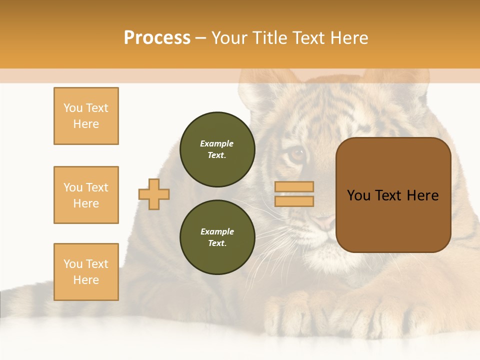 Mammal Tiger Studio PowerPoint Template