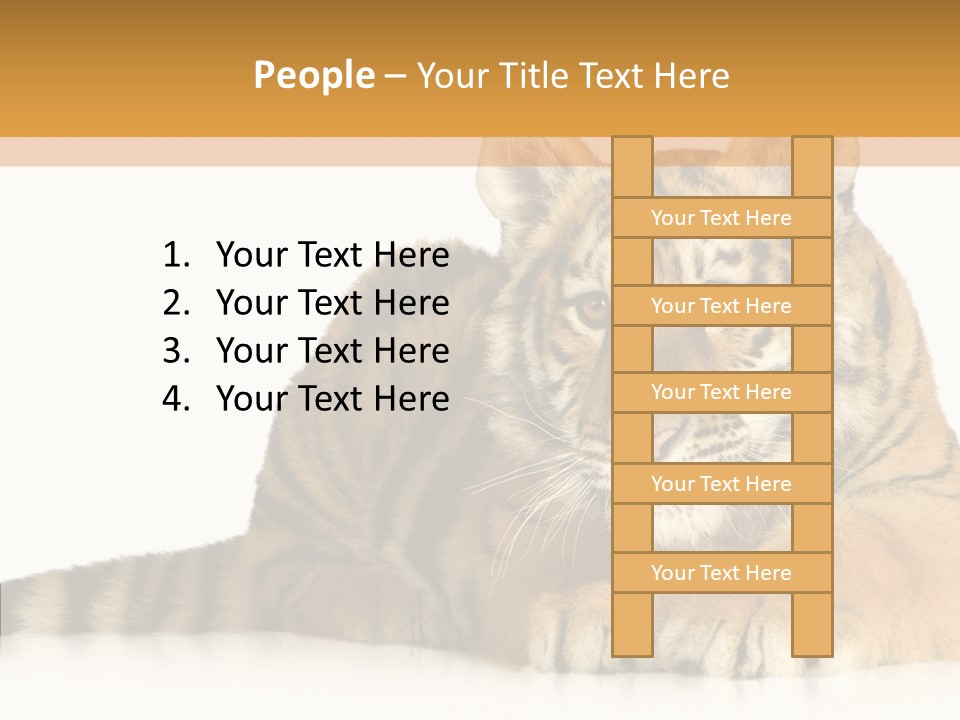 Mammal Tiger Studio PowerPoint Template
