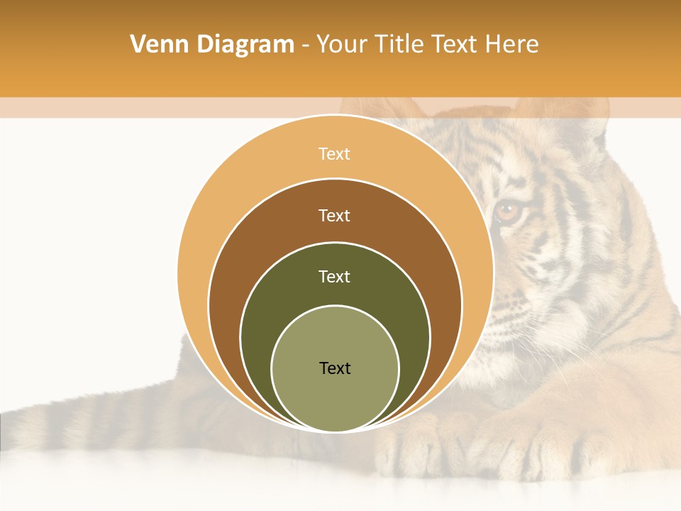 Mammal Tiger Studio PowerPoint Template
