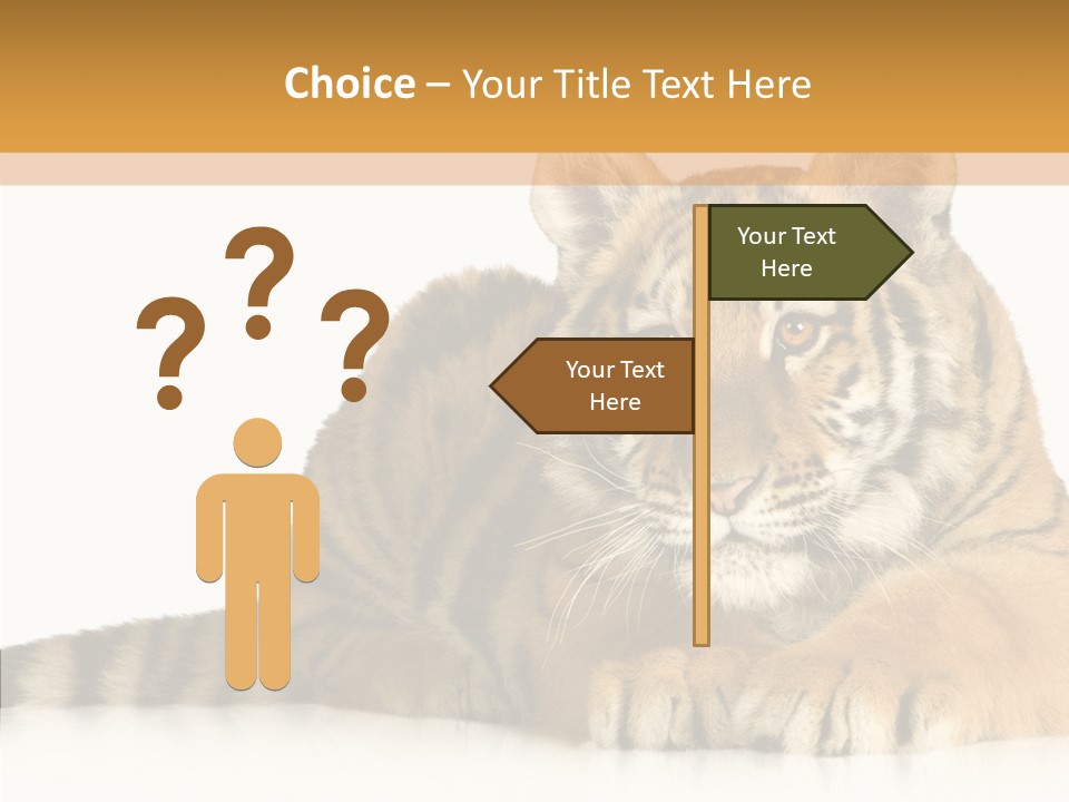 Mammal Tiger Studio PowerPoint Template