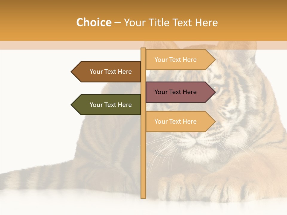 Mammal Tiger Studio PowerPoint Template