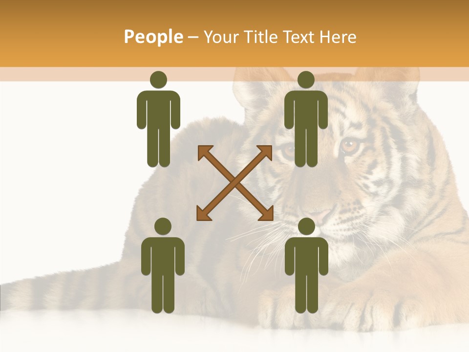 Mammal Tiger Studio PowerPoint Template