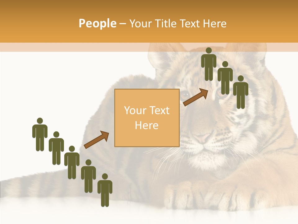 Mammal Tiger Studio PowerPoint Template