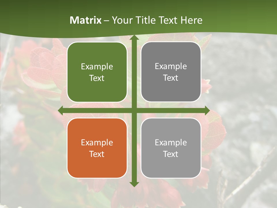 Hilo Hot National PowerPoint Template