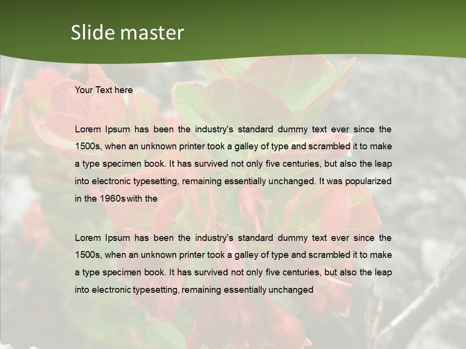 Hilo Hot National PowerPoint Template