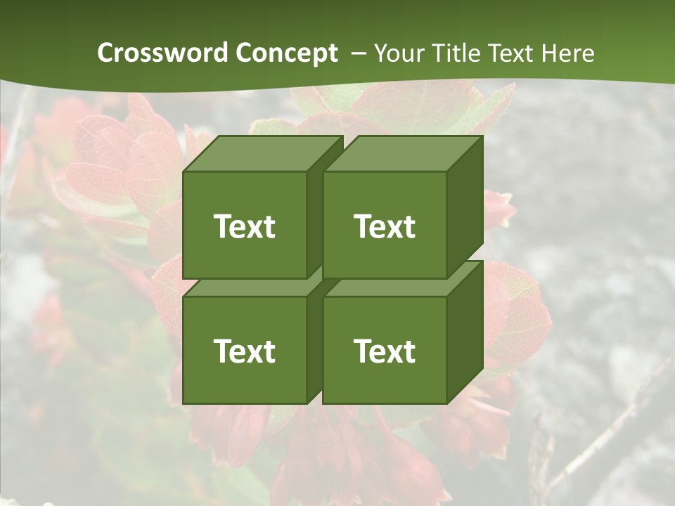 Hilo Hot National PowerPoint Template