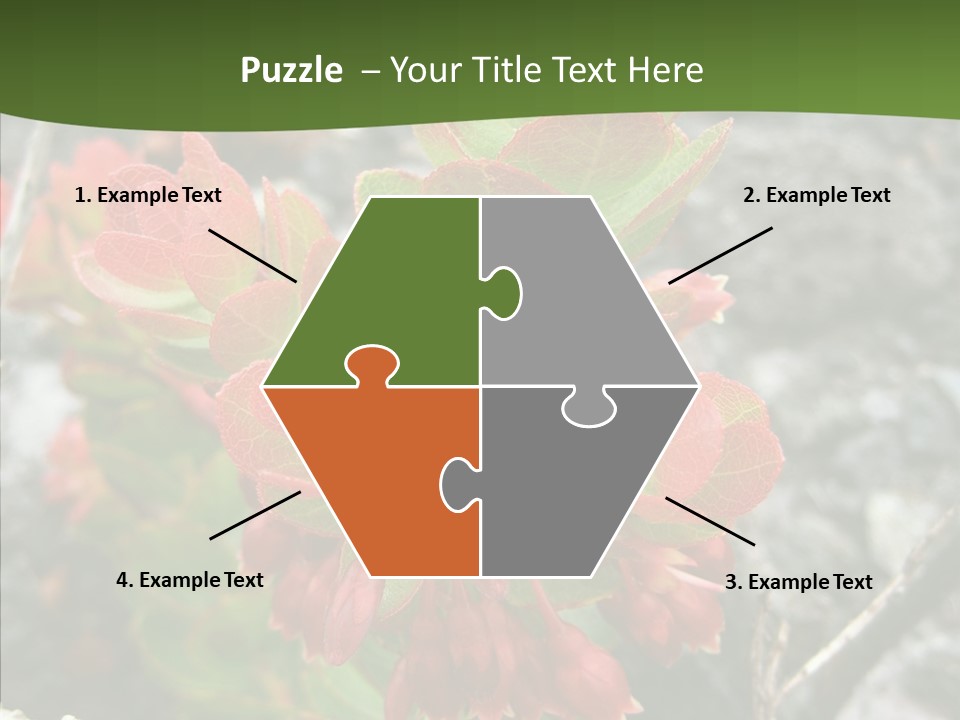 Hilo Hot National PowerPoint Template