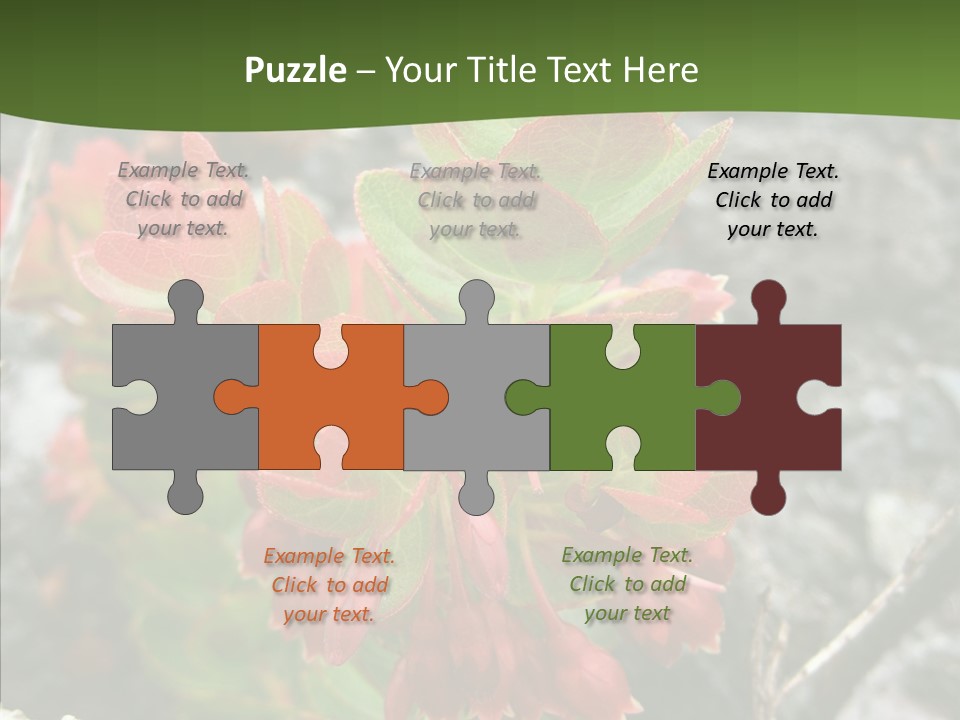 Hilo Hot National PowerPoint Template