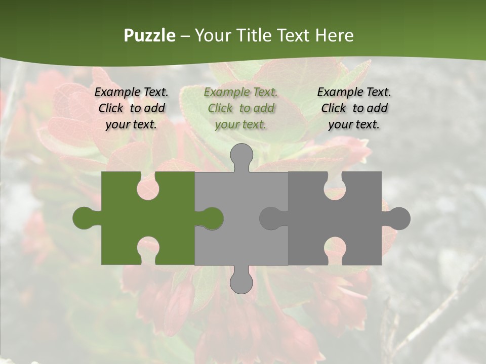 Hilo Hot National PowerPoint Template