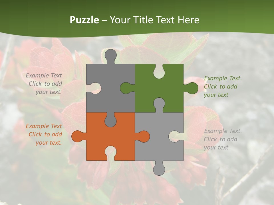 Hilo Hot National PowerPoint Template