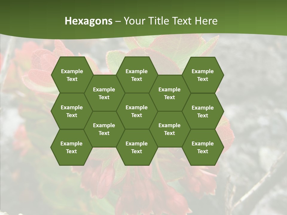 Hilo Hot National PowerPoint Template