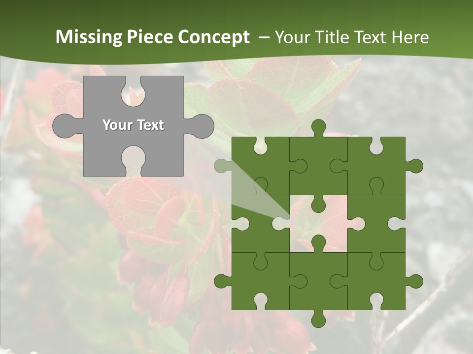 Hilo Hot National PowerPoint Template