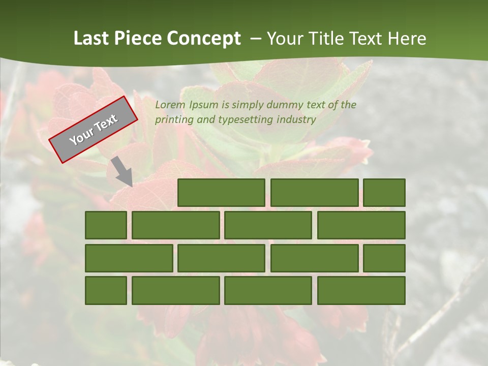 Hilo Hot National PowerPoint Template