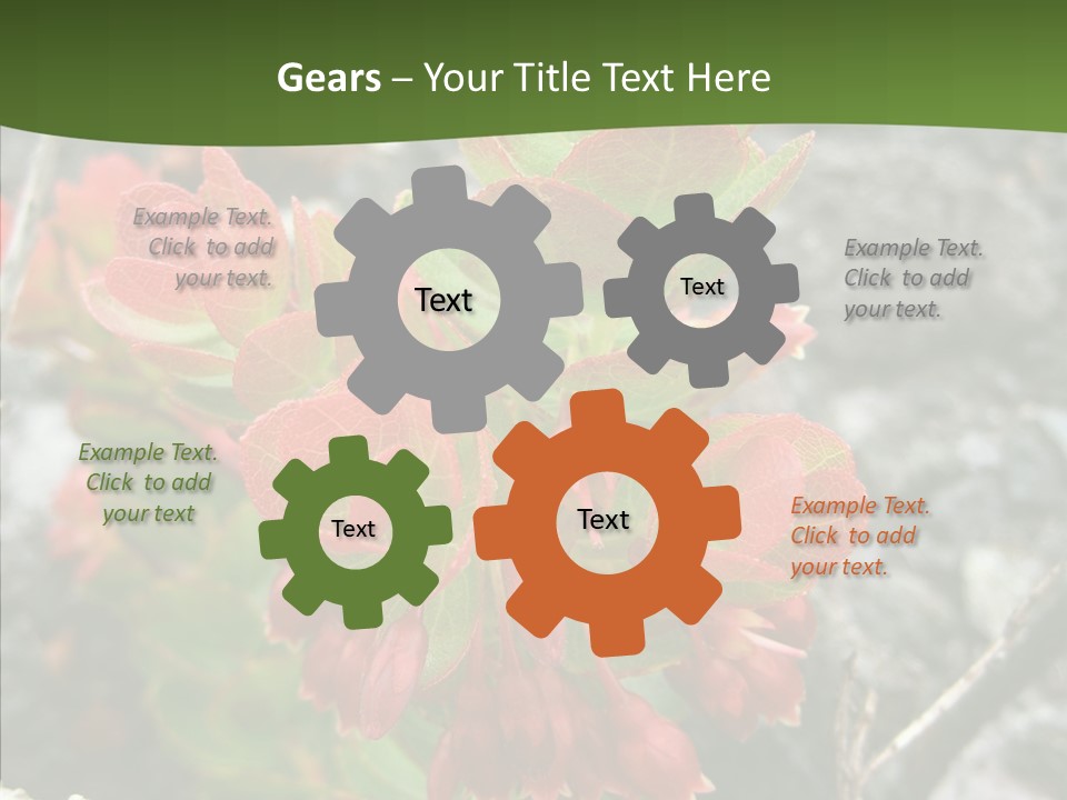 Hilo Hot National PowerPoint Template