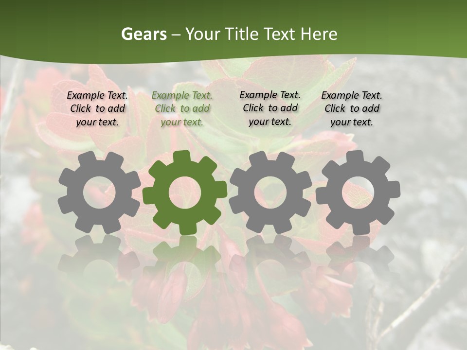 Hilo Hot National PowerPoint Template