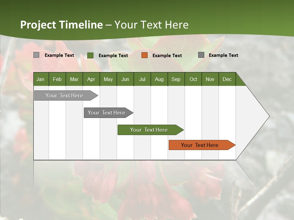 Hilo Hot National PowerPoint Template