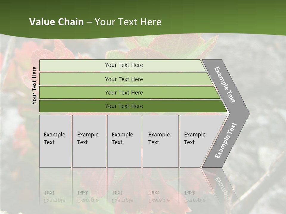 Hilo Hot National PowerPoint Template