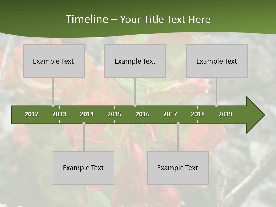 Hilo Hot National PowerPoint Template