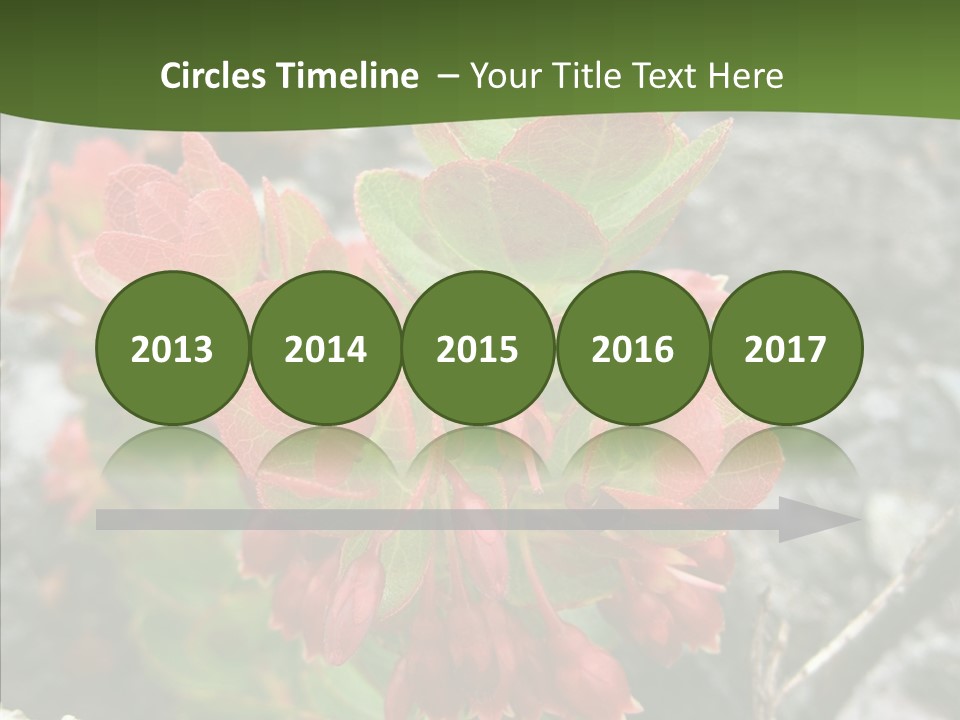 Hilo Hot National PowerPoint Template