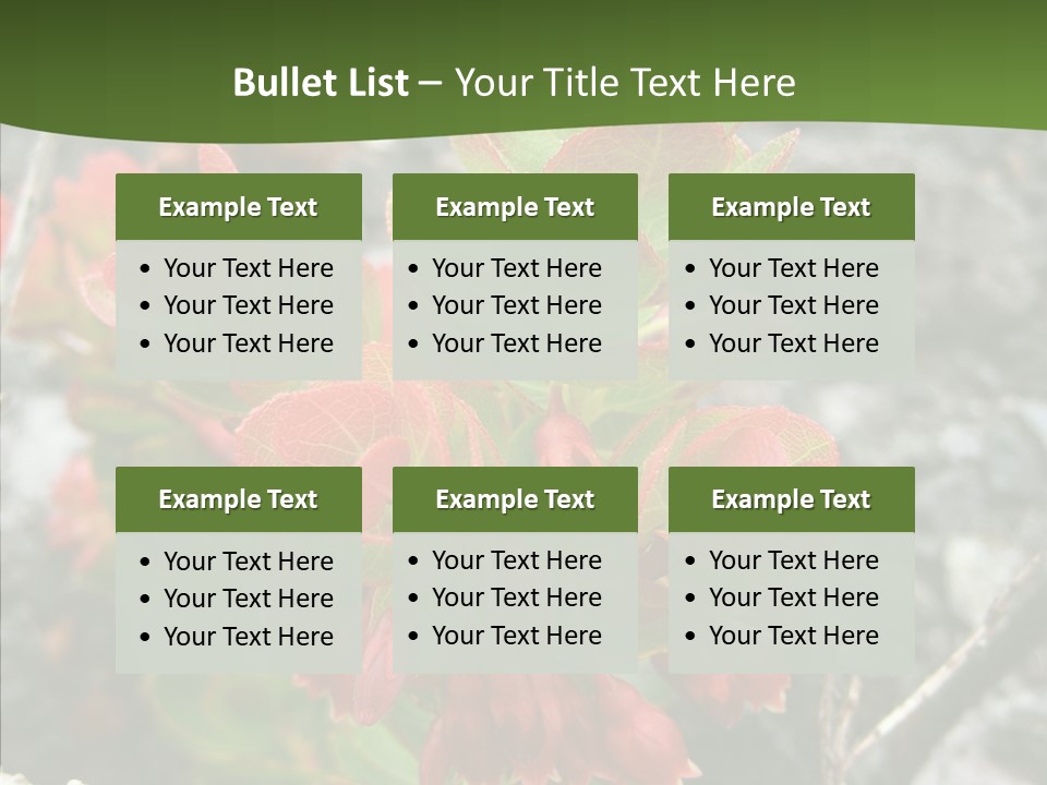 Hilo Hot National PowerPoint Template