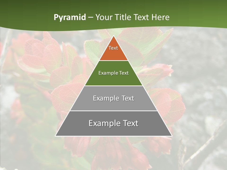 Hilo Hot National PowerPoint Template