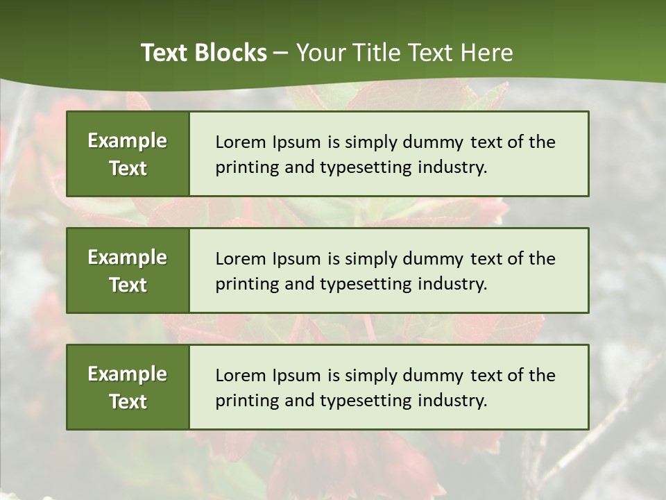 Hilo Hot National PowerPoint Template