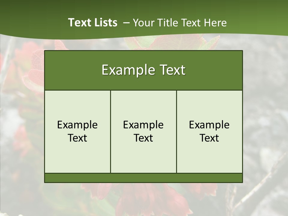 Hilo Hot National PowerPoint Template