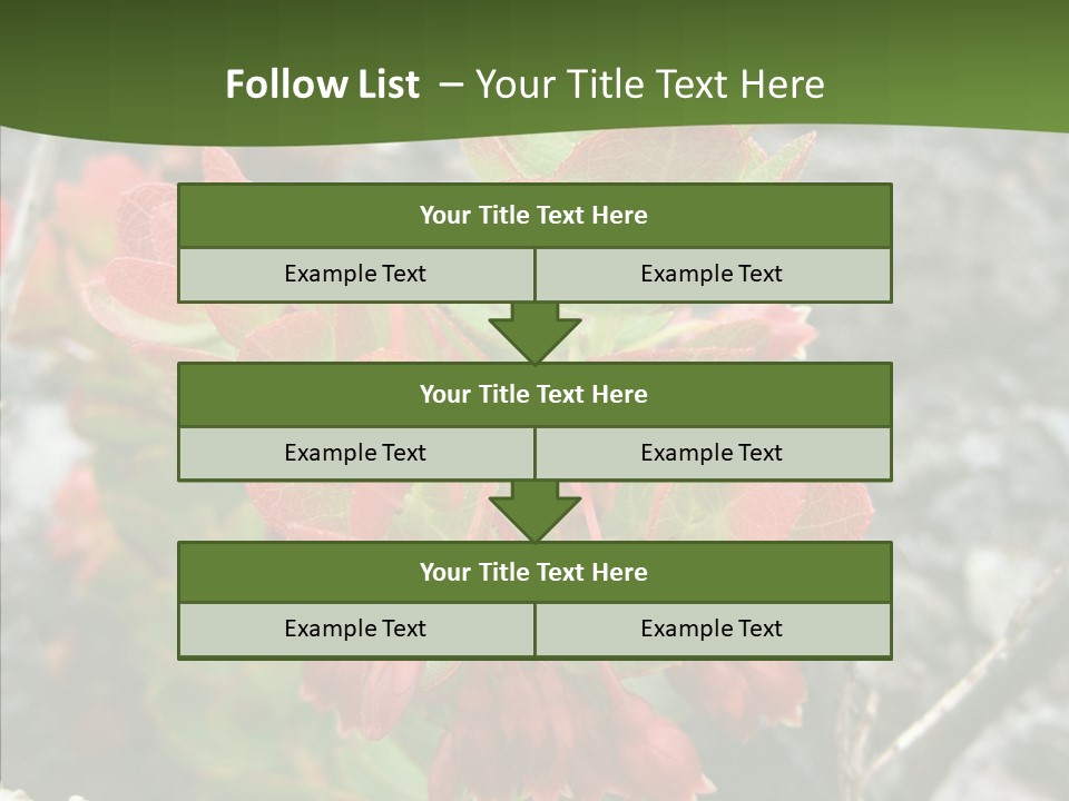 Hilo Hot National PowerPoint Template