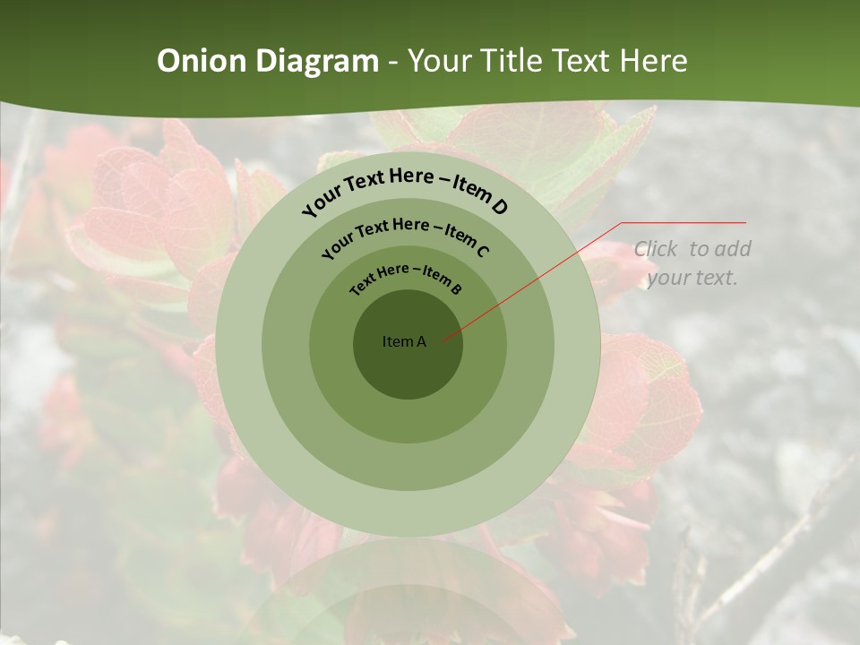 Hilo Hot National PowerPoint Template