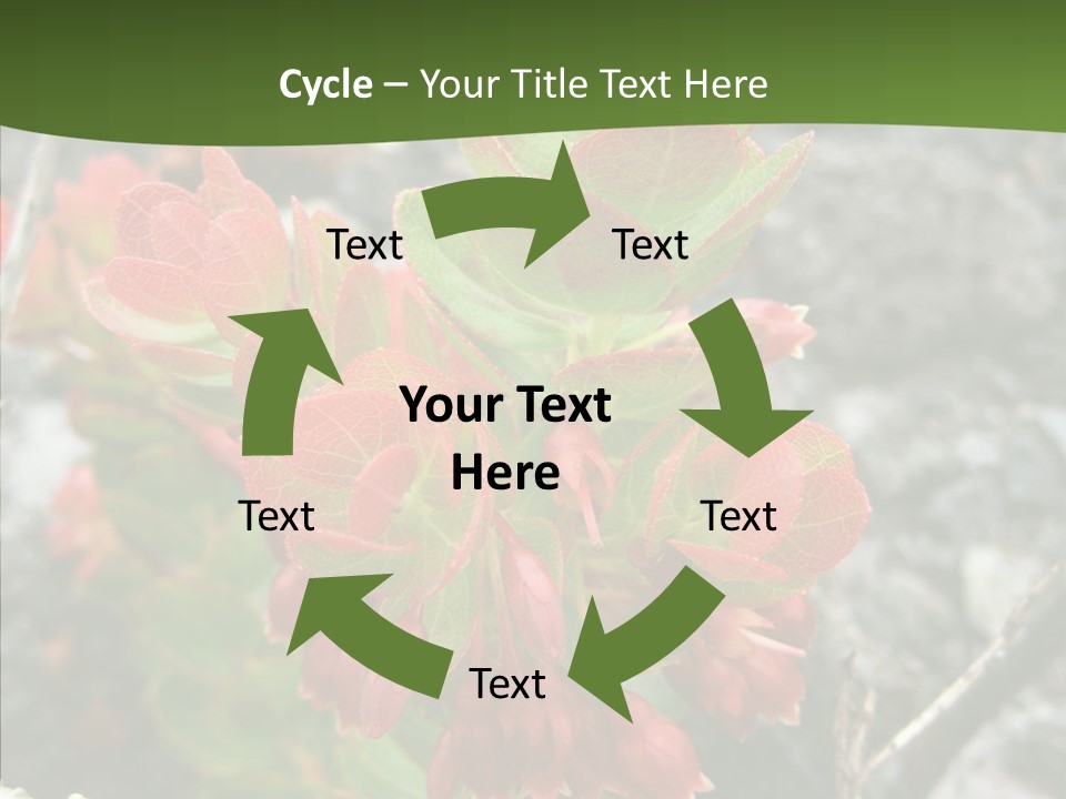 Hilo Hot National PowerPoint Template