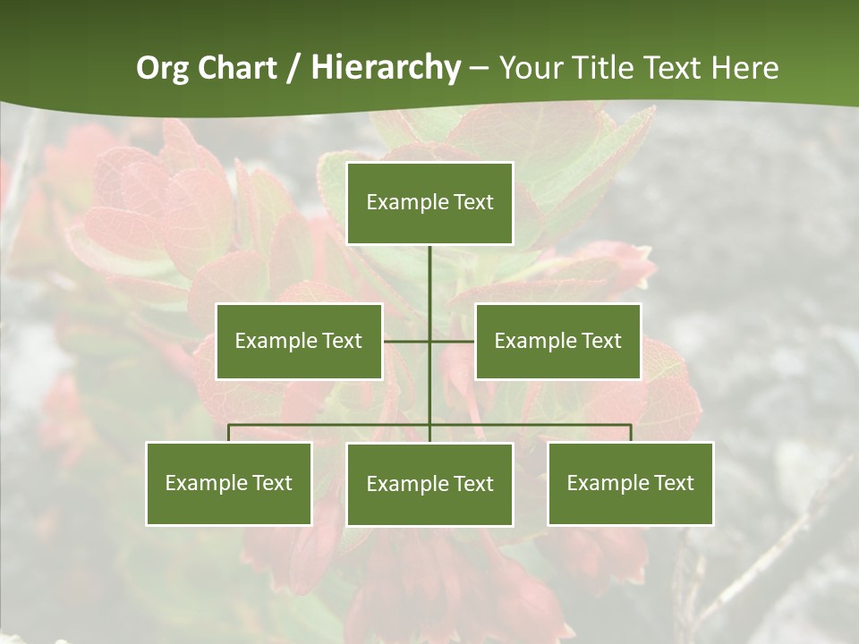 Hilo Hot National PowerPoint Template