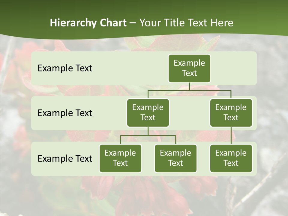 Hilo Hot National PowerPoint Template